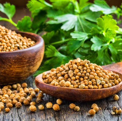 Coriander (Kothamalli) 1Kg